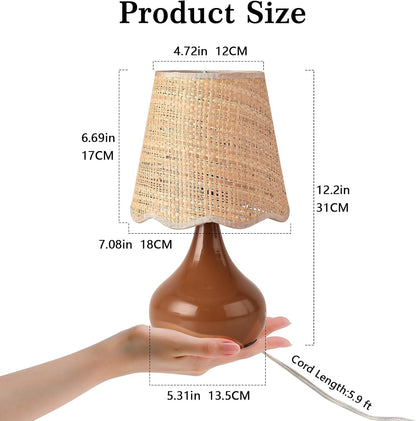 Ziqqeelam Brown Small Bedside Table Lamp for Bedroom, Farmhouse Bedroom Lamps for Nightstand, Rattan Lamp Shade Table Lamps for Small Spaces for Kitchen Counter, Home Office, Living Room, Kids Dorm