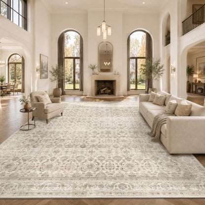 JOOJA 6x9 Brown Vintage Boho Washable Area Rug, Soft Low Pile Floor Carpet