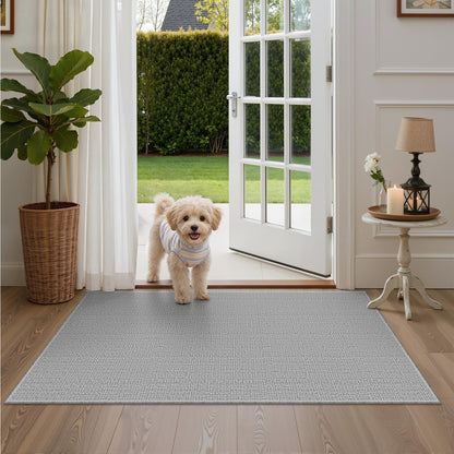 Valenrug Washable Rugs 5x7, Non Slip Large Area Rugs for Living Room, Beige