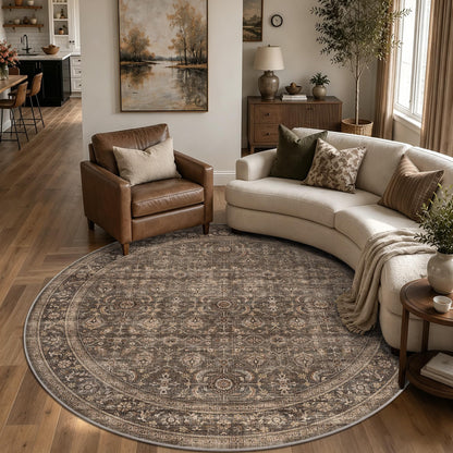 JOOJA 6x9 Brown Vintage Boho Washable Area Rug, Soft Low Pile Floor Carpet