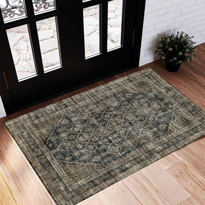 CHAMPLANT 6'x9' Washable Vintage Area Rug Boho Chic Medallion Distressed Design Non-Shedding Easy Care Ideal for High Traffic Areas in Living Room Bedroom Kitchen Office Large Carpet