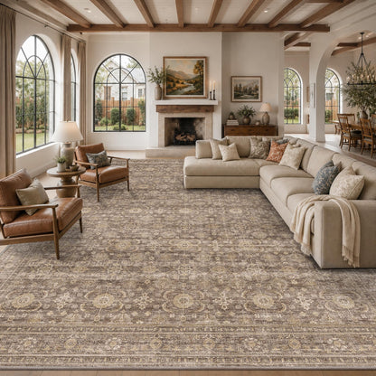 JOOJA 6x9 Brown Vintage Boho Washable Area Rug, Soft Low Pile Floor Carpet