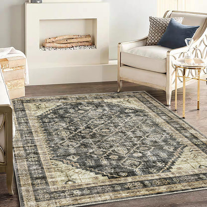 CHAMPLANT 6'x9' Washable Vintage Area Rug Boho Chic Medallion Distressed Design Non-Shedding Easy Care Ideal for High Traffic Areas in Living Room Bedroom Kitchen Office Large Carpet