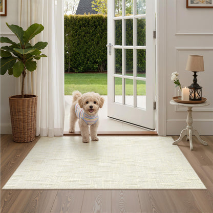 Valenrug Washable Rugs 5x7, Non Slip Large Area Rugs for Living Room, Beige