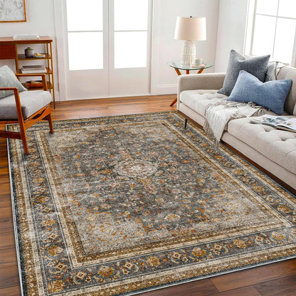 CHAMPLANT 6'x9' Washable Vintage Area Rug Boho Chic Medallion Distressed Design Non-Shedding Easy Care Ideal for High Traffic Areas in Living Room Bedroom Kitchen Office Large Carpet
