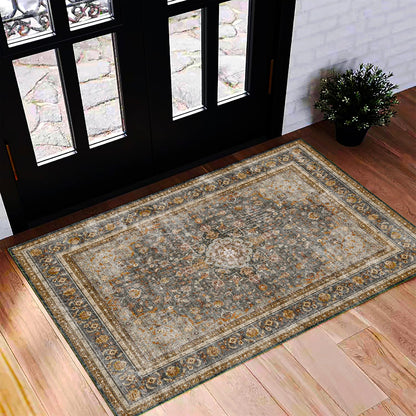 CHAMPLANT 6'x9' Washable Vintage Area Rug Boho Chic Medallion Distressed Design Non-Shedding Easy Care Ideal for High Traffic Areas in Living Room Bedroom Kitchen Office Large Carpet