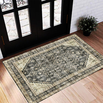 CHAMPLANT 6'x9' Washable Vintage Area Rug Boho Chic Medallion Distressed Design Non-Shedding Easy Care Ideal for High Traffic Areas in Living Room Bedroom Kitchen Office Large Carpet
